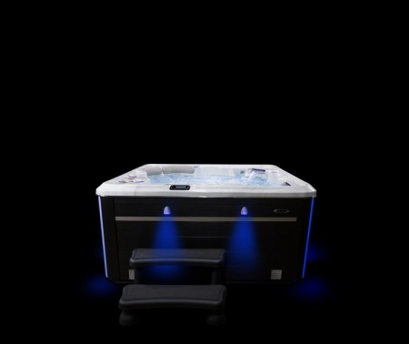 Гидромассажный спа бассейн Hydropool Self Cleaning 670 Platinum Гидромассажный спа бассейн Hydropool Self Cleaning 670 Platinum